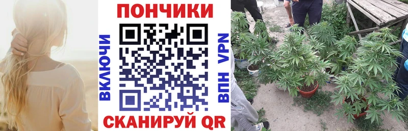 Виды наркоты Кстово Альфа ПВП  Конопля  Меф  АМФ  Гашиш 
