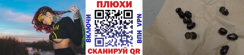 ГАШ Premium Кстово