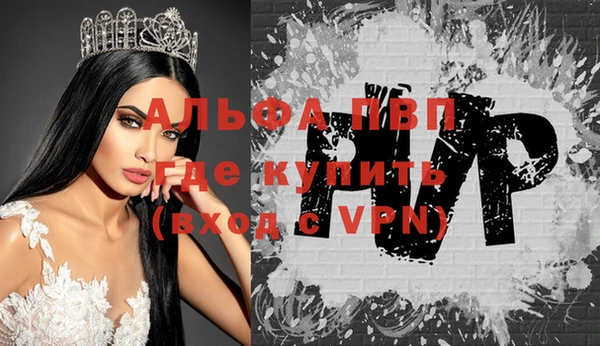 крисы Белокуриха