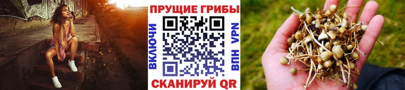 Галлюциногенные грибы Magic Shrooms  Кстово 
