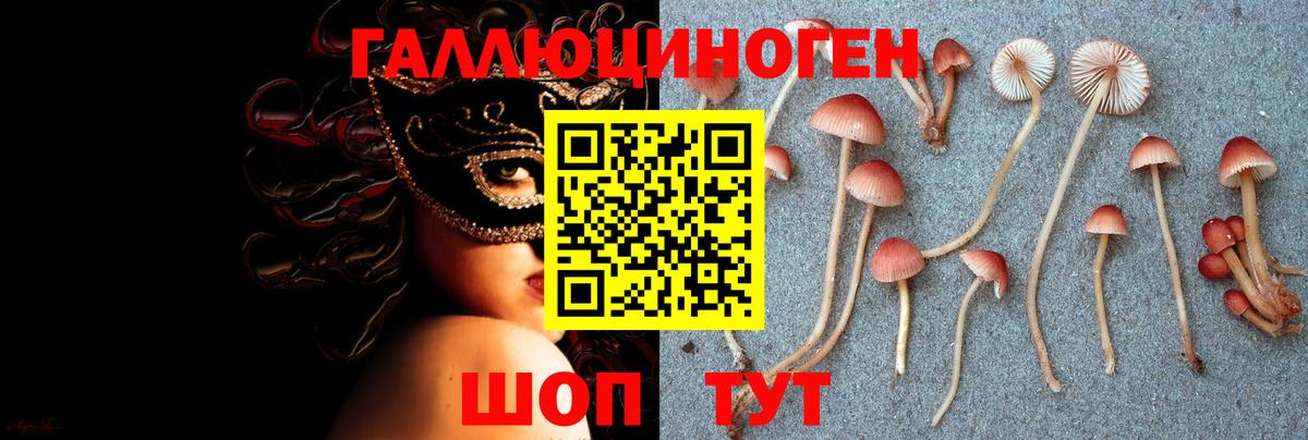 Псилоцибиновые грибы мицелий  Вход с VPN  Кстово 