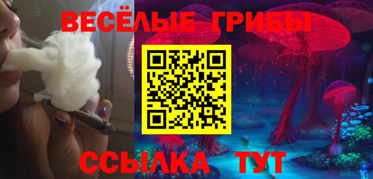 Галлюциногенные грибы GOLDEN TEACHER Кстово